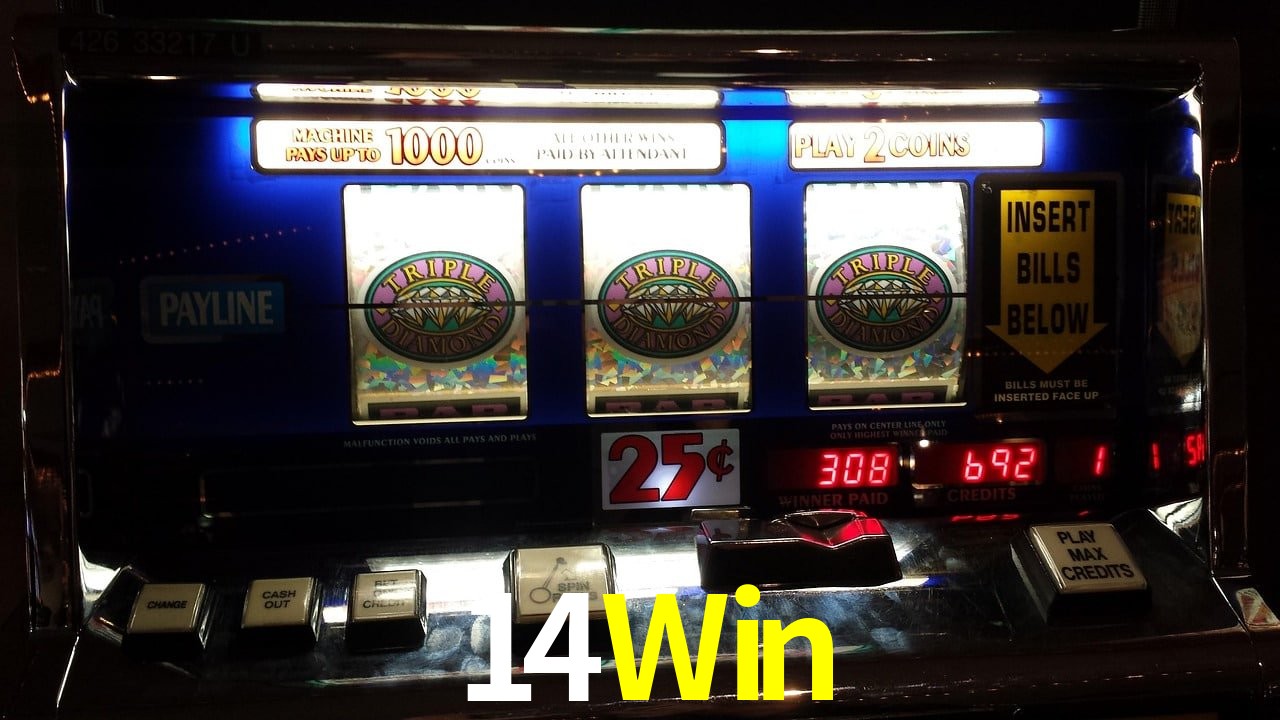 Experiência VIP 14Win