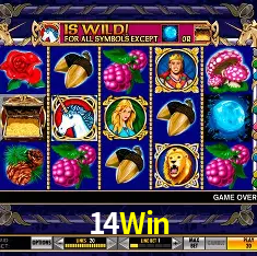 14Win Rio de Janeiro - Bonus Terms
